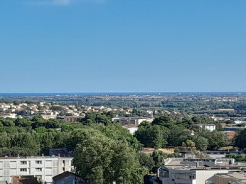 Room with a view 