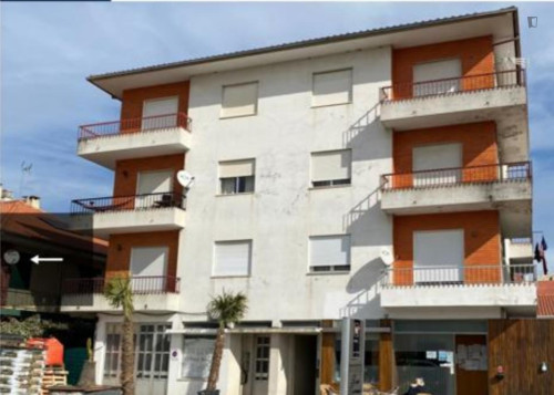 Nice double bedroom in Macedo de Cavaleiros - Gallery - 8