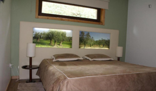 Historic 5 Bedroom House close to Sabor River - Gallery - 14