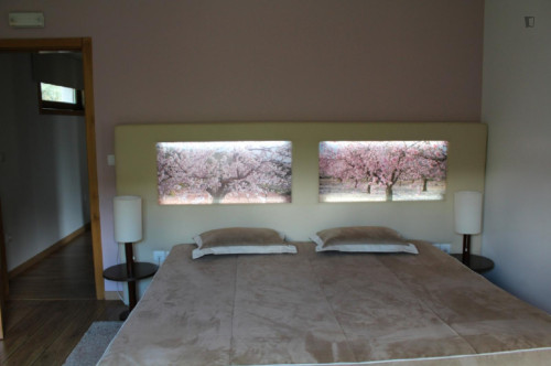 Historic 5 Bedroom House close to Sabor River - Gallery - 12