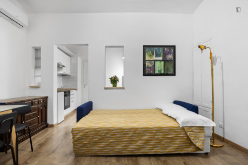 Snug 1-bedroom flat in the centre of Rome