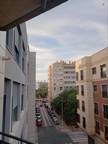 Large Single Bedroom close to Miguel Hernández de Elche University - Gallery - 8