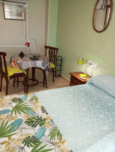 Large Single Bedroom close to Miguel Hernández de Elche University  - Gallery -  5