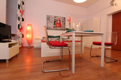 Neat studio in Stradom