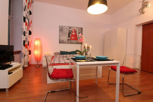 Neat studio in Stradom