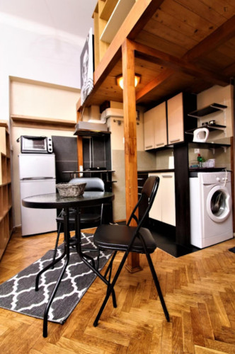 Nice studio in the Old Town close to "Planty" gardens and Galeria Krakowska shopping mall  - Gallery -  5
