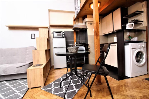 Nice studio in the Old Town close to "Planty" gardens and Galeria Krakowska shopping mall