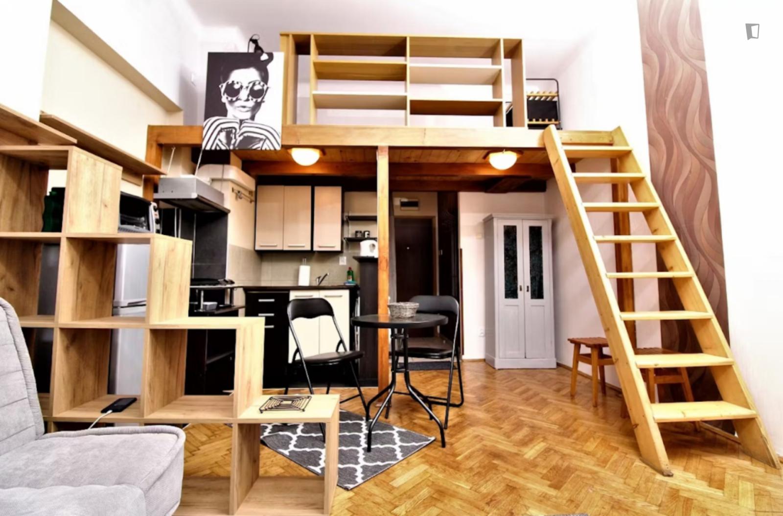  Nice Studio In The Old Town Close To "Planty" Gardens And Galeria Krakowska Shopping Mall  -  Nice studio in the Old Town close to "Planty" gardens and Galeria Krakowska shopping mall  - Gallery -  1