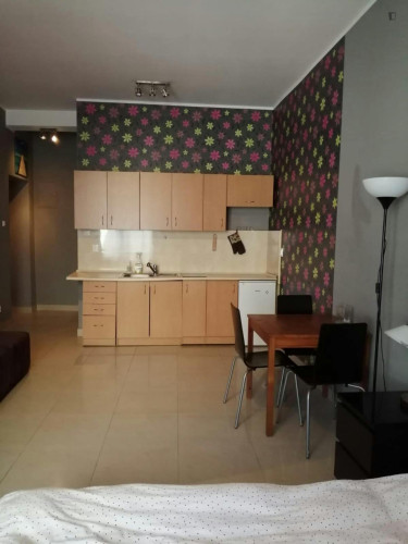 Pleasant studio in Kazimierz