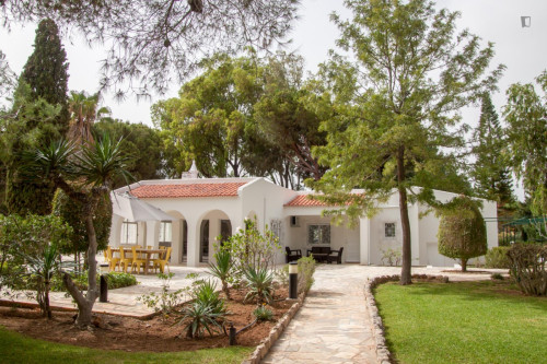 Modern studio next to Quarteira beach  - Gallery -  5