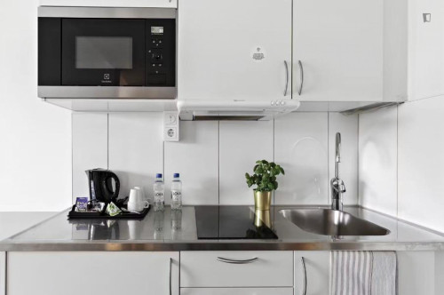 Lovely 1-bedroom flat in Margretelund