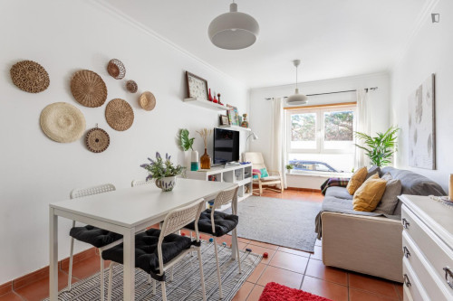 Great and sunny 2-bedroom flat in Santa Cruz - Gallery - 12