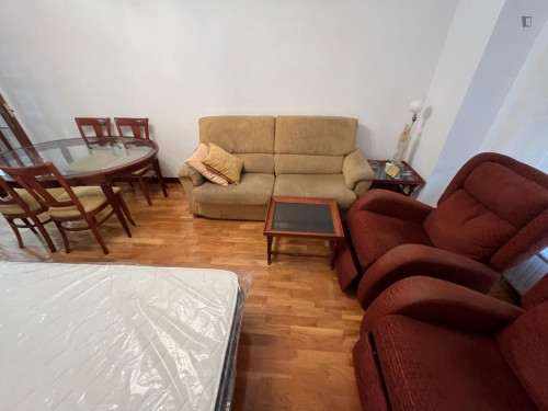 Large double bedroom in the centre of Logroño