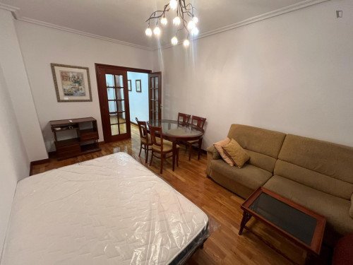 Large double bedroom in the centre of Logroño