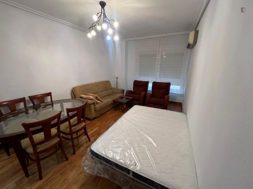 Large double bedroom in the centre of Logroño