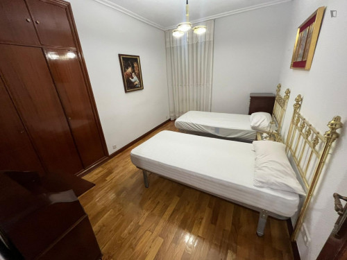 Homely twin bedroom in the centre of Logroño