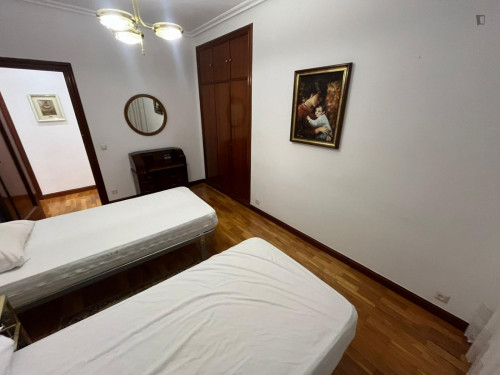 Homely twin bedroom in the centre of Logroño