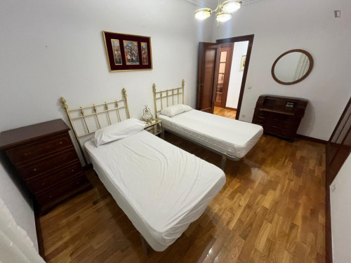 Homely twin bedroom in the centre of Logroño