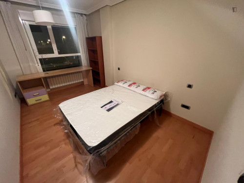 Very comfy double bedroom in Parque de Las Gaunas
