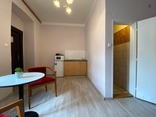 Appealing 1-bedroom apartment in Žižkov