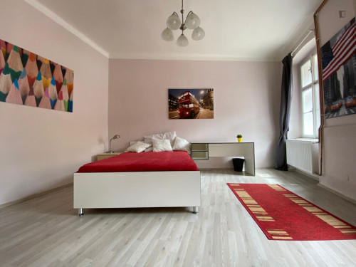 Appealing 1-bedroom apartment in Žižkov