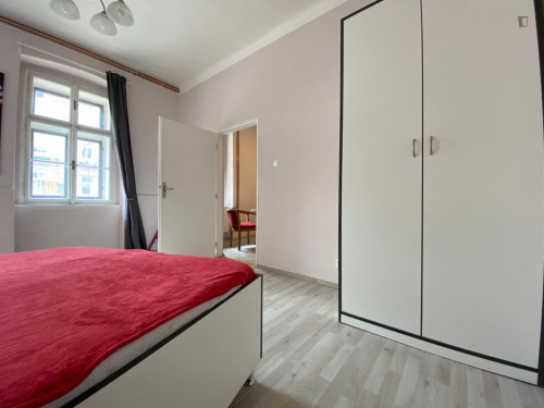 Appealing 1-bedroom apartment in Žižkov