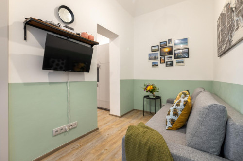 Charming 1-bedroom flat in Petrská čtvrť