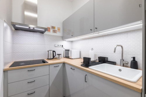 Charming 1-bedroom flat in Petrská čtvrť - Gallery - 10