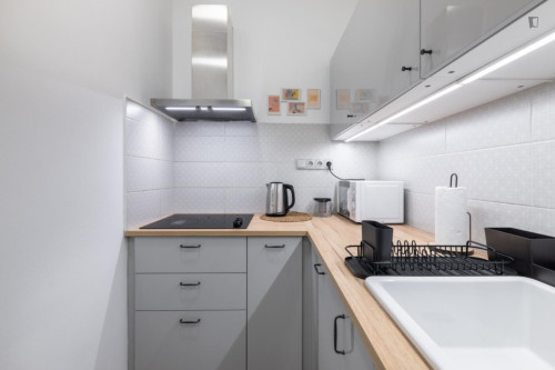 Charming 1-bedroom flat in Petrská čtvrť - Gallery - 9