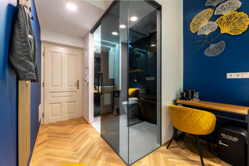 Splendid studio near the Hlavní nádraží metro  - Gallery -  5