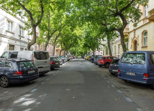 Wonderful 1-bedroom flat in Vinohrady
