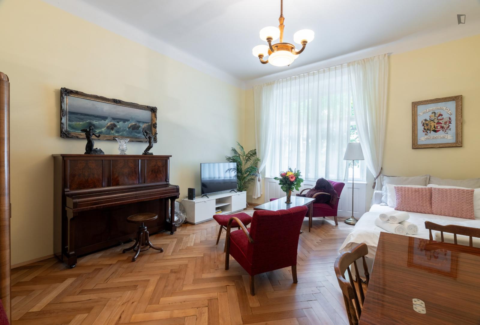  Wonderful 1-Bedroom Flat In Vinohrady  -  Wonderful 1-bedroom flat in Vinohrady  - Gallery -  1