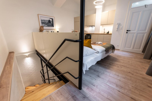 Interesting 1-bedroom apartment in Prague 1 - Gallery - 10