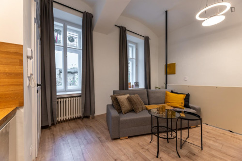 Interesting 1-bedroom apartment in Prague 1 - Gallery - 21