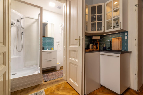 Very cool studio in Prague 1  - Gallery -  5