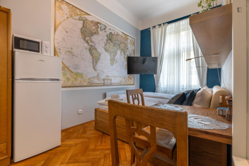 Very cool studio in Prague 1 - Gallery - 6
