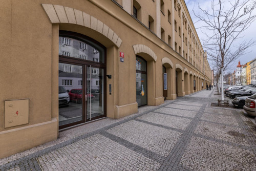 Elegant 1-bedroom apartment in Karlín