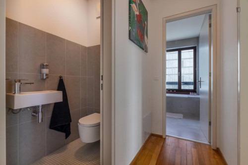 Elegant 1-bedroom apartment in Karlín
