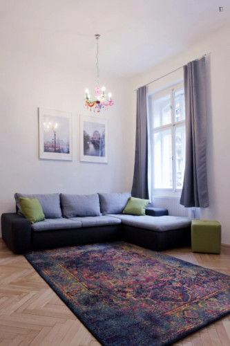 Very comfy 1-bedroom apartment in the Prague 1 district