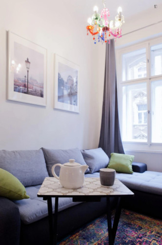 Very comfy 1-bedroom apartment in the Prague 1 district