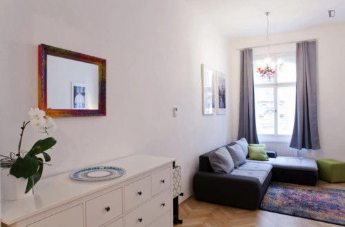 Very comfy 1-bedroom apartment in the Prague 1 district