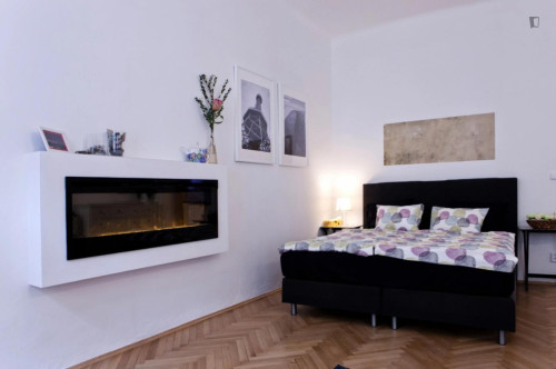 Very comfy 1-bedroom apartment in the Prague 1 district