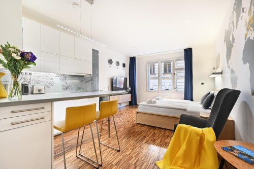 Exquisite studio in the Prague 1 district - Gallery - 9