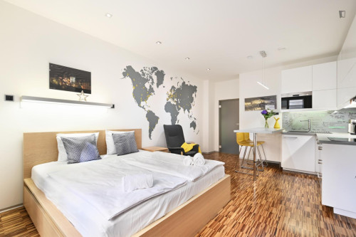 Exquisite studio in the Prague 1 district - Gallery - 16