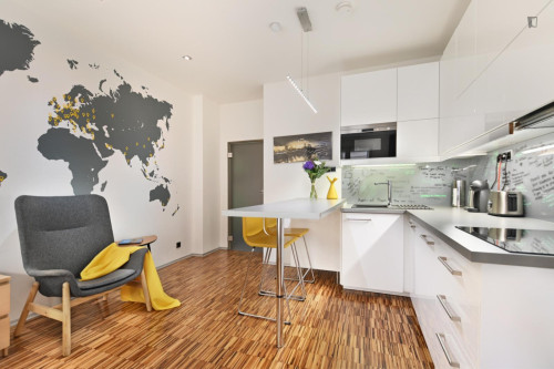 Exquisite studio in the Prague 1 district