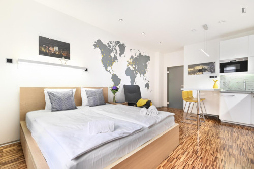 Exquisite studio in the Prague 1 district - Gallery - 14