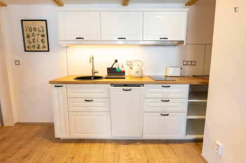 Very inviting 2-bedroom flat in New Town - Gallery - 16