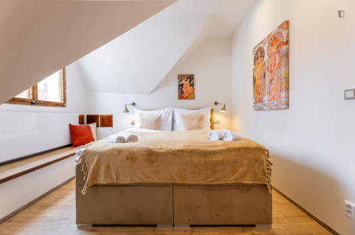 Very inviting 2-bedroom flat in New Town - Gallery - 6