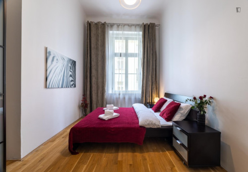 Excellent 3-bedroom flat in Malá Strana  - Gallery -  5