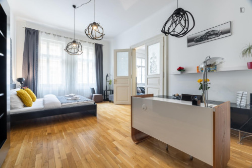 Excellent 3-bedroom flat in Malá Strana - Gallery - 17